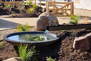 Circular black water feature with spout and lily pads surrounded by native grasses and basalt boulders in Daylesford garden
