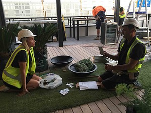 Construction workers in high-vis vests planning landscape installation on St Kilda rooftop terrace with materials