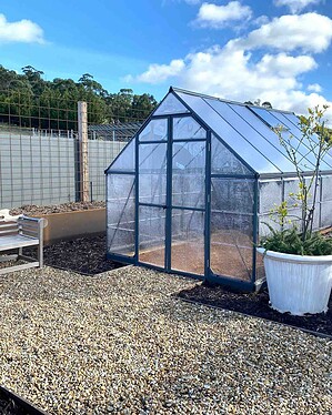 Glass greenhouse with metal frame on gravel surface beside raised garden beds in Gisborne country garden setting