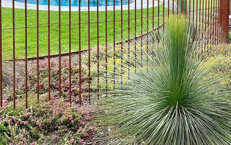 Large native grass plant beside steel rod pool fencing with colorful wildflowers at Mount Buninyong country garden